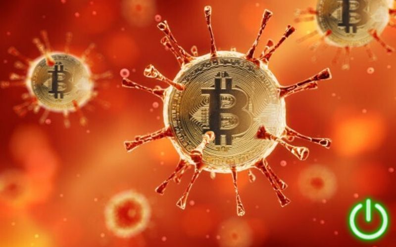 Bitcoin Crash Appears to be Result of Weak-Handed Institutional Investors – Not HODLers Jumping Ship